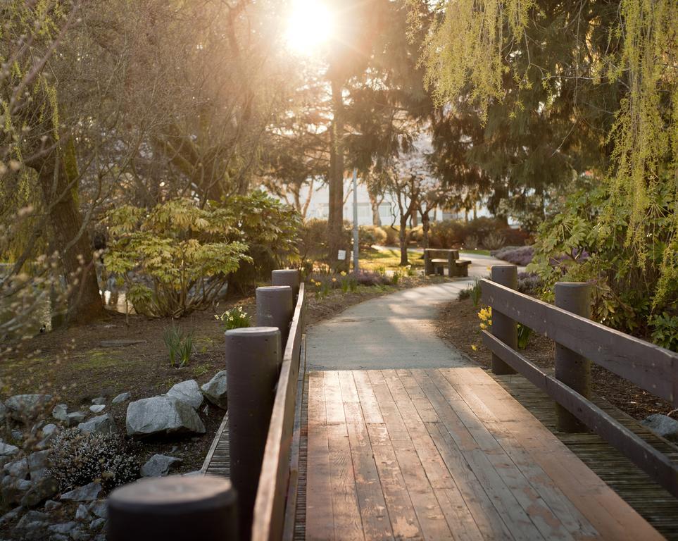 Vancouver Deluxe Cozy Home Ρίτσμοντ Εξωτερικό φωτογραφία